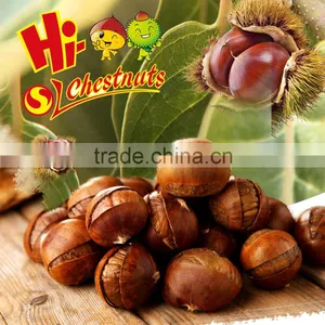Roasted Ringent Chestnuts Snacks--ready to Eat Nuts thumbnail-3
