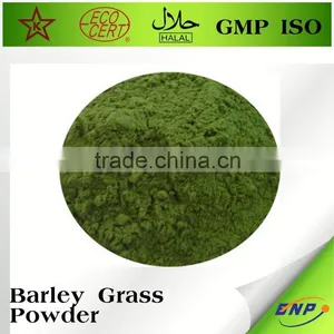 Organic Barley Grass Juice Powder Barley Green Powder thumbnail-1