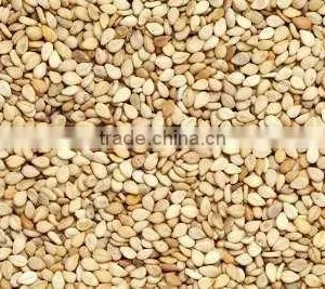 NATURAL SESAME SEED thumbnail-1