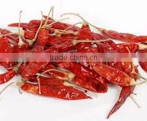 BEST RED CHILI thumbnail-1