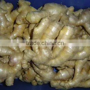 Fresh Air Dried Ginger thumbnail-1