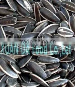 Original Place Sell SUNFLOWER SEEDS 318 at Lower Price thumbnail-1