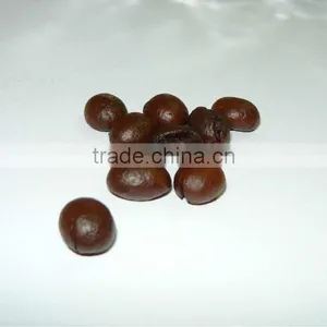 SPECIAL COFFEE BEANS thumbnail-1