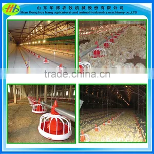 Poultry Automatic Pan Feeding System for Breeders thumbnail-6