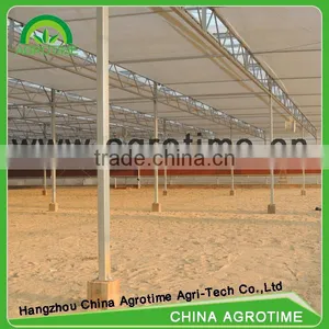 Venlo Greenhouse PC Sheet Glass Covering Hot Sale Greenhouse/glass Greenhouse thumbnail-4