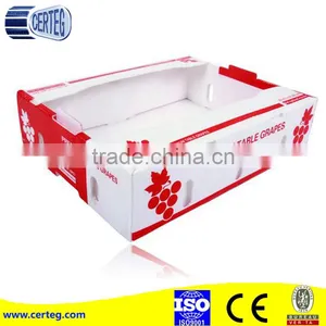 Colorful PP Corrugated Sheet/Coroplast thumbnail-6