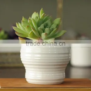 Indoor Mini Glazed White Pottery Planter for Succulent thumbnail-2