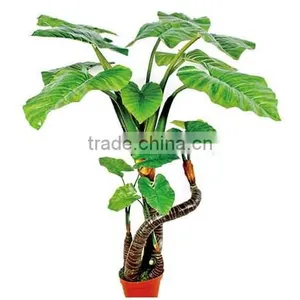 SJ0301115 Ornamental Landscaping Aquarium Plants Garden Decorative Green Plants thumbnail-2