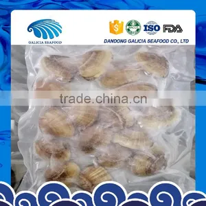 Frozen Wild Caught Yellow Clam thumbnail-1