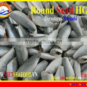 HGT FROZEN ROUND SCAD thumbnail-1