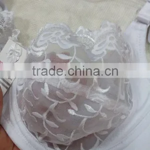 Wholesale Latest Bra Designs Transparent Sexy Bra Transparent Women Non Padded Bra thumbnail-4