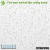 Mineral Fiber Ceiling (H) thumbnail-1