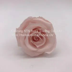 Preserved Rose Flowers for Wedding Decoration Flower Arrangement thumbnail-2