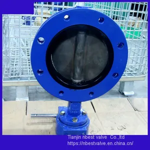 U Type Double Flange Connection Butterfly Valve 1.4529disc thumbnail-5
