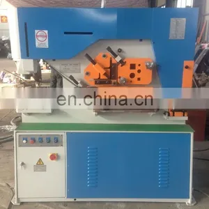 Q35Y-20 Cheap Hydraulic Punching and Shearing Machine for Metal Working thumbnail-2