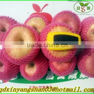 Fresh Apples/APPLES/APPLE thumbnail-1