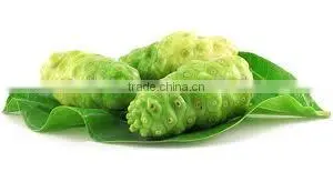 More Healthy and Energy Noni Powder at Your Door Step thumbnail-3