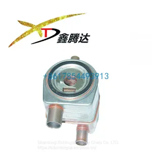 13034889/4889 4110000991019 Fit for Weichai Dao ITZ TD226B Engine Spare Par thumbnail-1