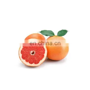 98% Naringin Grapefruit Seed Extract Citrus Paradisi Powder thumbnail-2