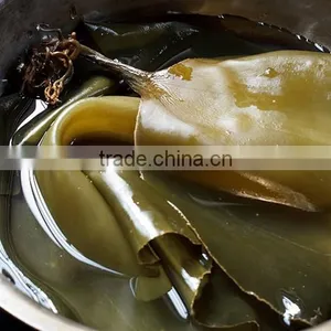 Big Sheet Fresh Water Washed Roasted Processing Dried Kelp Seaweed thumbnail-4