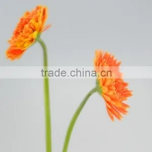 Fresh Cut Golden Sun Single Gerbera From Guangdong thumbnail-1