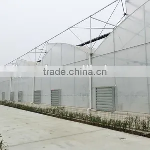 Agricultural Plastic Houses thumbnail-2