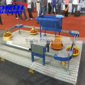 Automatic Chicken Feeders for Broiler thumbnail-2