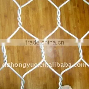 Hex Netting thumbnail-1