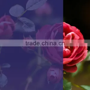 Decorative Door Covering Sheets Similar to 3M Window Film thumbnail-1