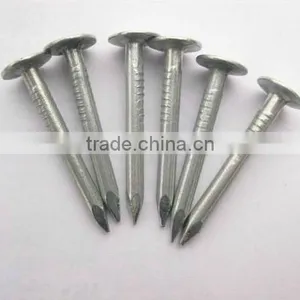 Black Galvanized Hardened Steel Concrete Nail With High Quality thumbnail-5
