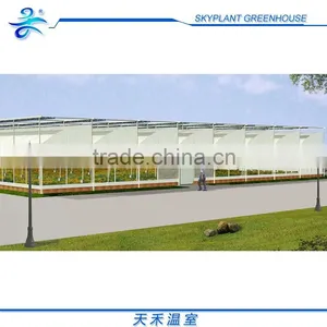 Sp-M-S-F-H Serrated Multi-Span Horticultural Plastic Film Greenhouse thumbnail-5