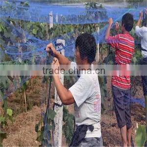 Many Kinds of Anti-hail Nets thumbnail-2