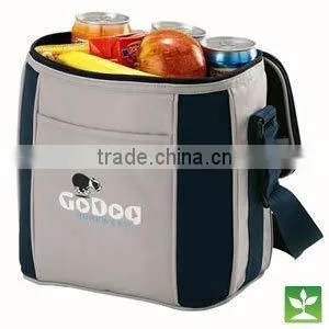 Promotion Bags,6 Drink Cooler thumbnail-1