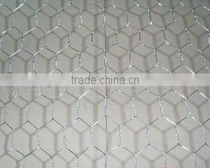 1" Galvanized Chicken Wire Mesh, Hexagonal Mesh(factory) thumbnail-1