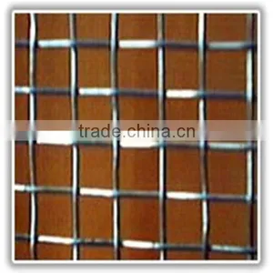 Electro Galvanized Square Wire Mesh(ISO9001:2008 Factory) thumbnail-1