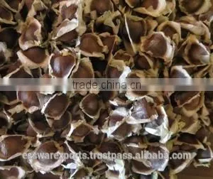 Best Supplier for Drumstick Seed thumbnail-6