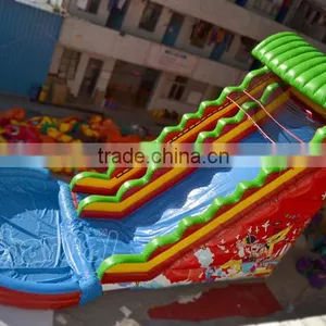 Giant Inflatable Water Slide for Kids and Adult, Used Inflatable Water Slide Pool for Sale thumbnail-1