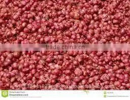 Shallot Exporters/Small Onion Exporters thumbnail-4