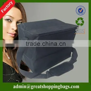 Eco Thermal Picnic Pizza Bag thumbnail-1