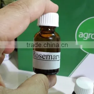 High Quality Rosemary Essential Oil From Turkey ,rosemary Price , Rosemary Export thumbnail-1