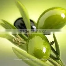 OLIVE OIL VIRGIN thumbnail-1