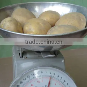 Fresh Potato thumbnail-1