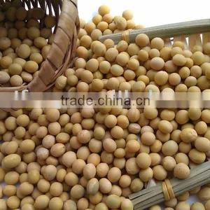 Soybean/soya Bean, Soybean Seeds, Soya Bean Seeds( 2010 Crop, Heilongjiang Origin) thumbnail-1