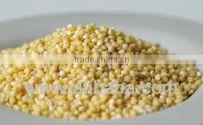 Yellow Millet From India thumbnail-1