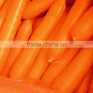 Lovely Carrot thumbnail-1