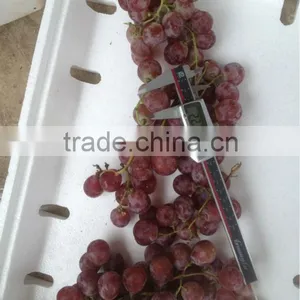 Fresh Red Grapes,wholesale Price thumbnail-1