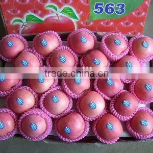China Fresh Fruit thumbnail-2