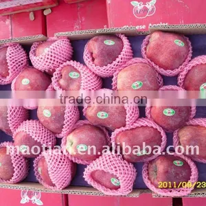 Fresh Red Delicious thumbnail-1