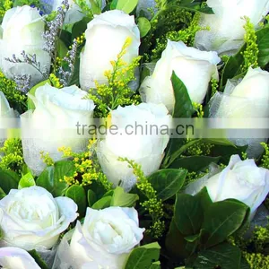 Fresh Cut Flowers Suppliers White Rose Flowers thumbnail-4