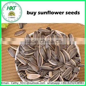Nice Quality Snacks Buy Sunflower Seeds for Human Cunsumption thumbnail-4